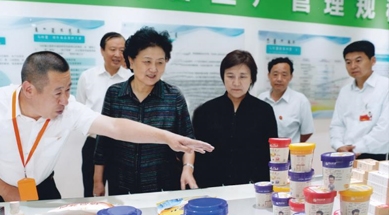 原中共中央政治局委員、國務院副總理劉延東視察我公司